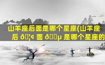 山羊座后面是哪个星座(山羊座后 🦢 面 🐵 是哪个星座的)